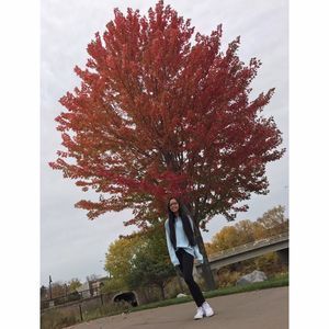 Meet your Posher, Kriszelle